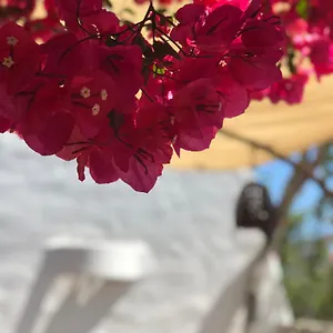 Casa Mariposa Vakantiehuis